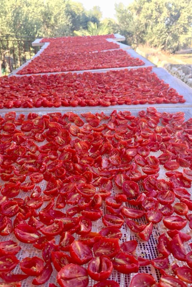 הוילה Toritto Agriturismo Armienti מראה חיצוני תמונה