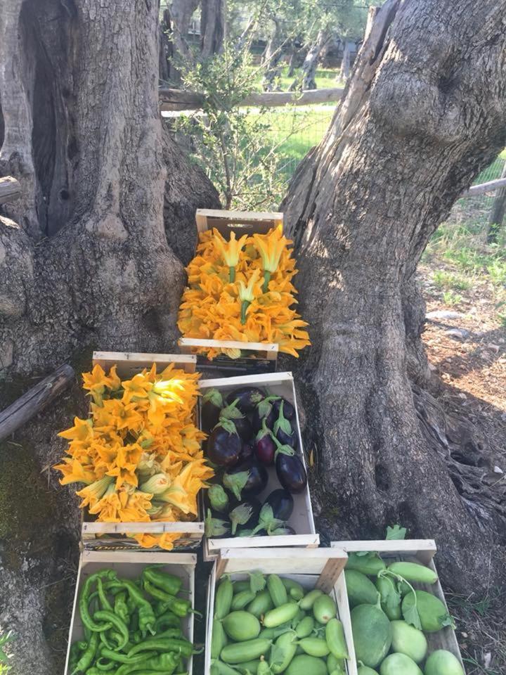 הוילה Toritto Agriturismo Armienti מראה חיצוני תמונה