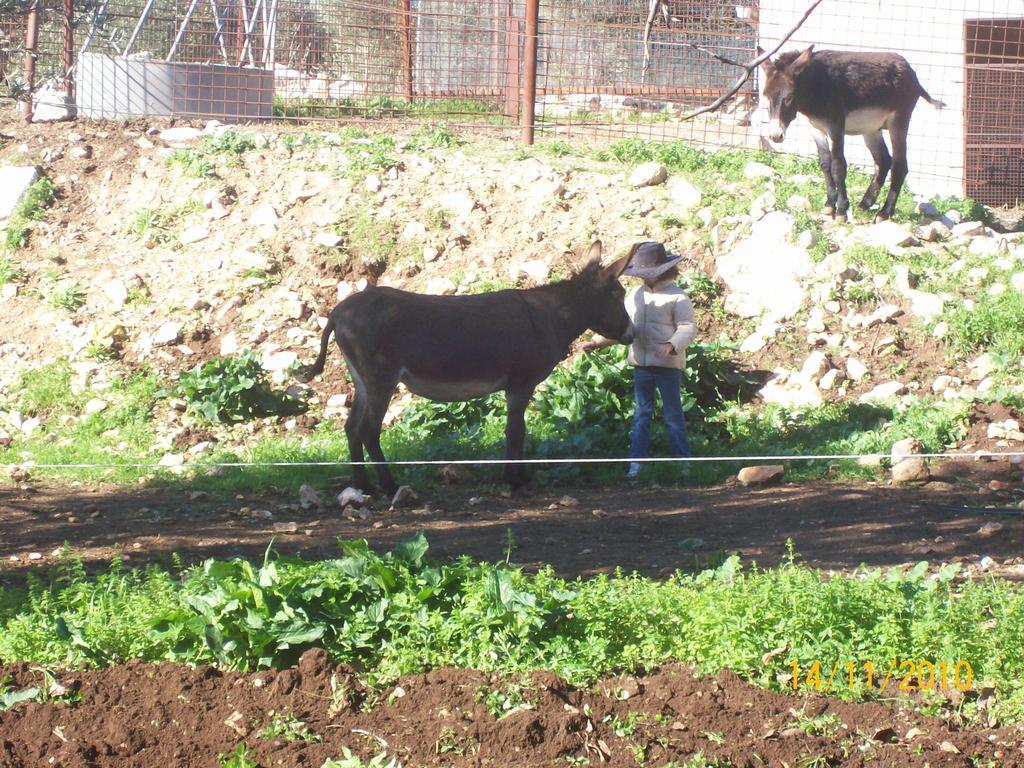 הוילה Toritto Agriturismo Armienti מראה חיצוני תמונה