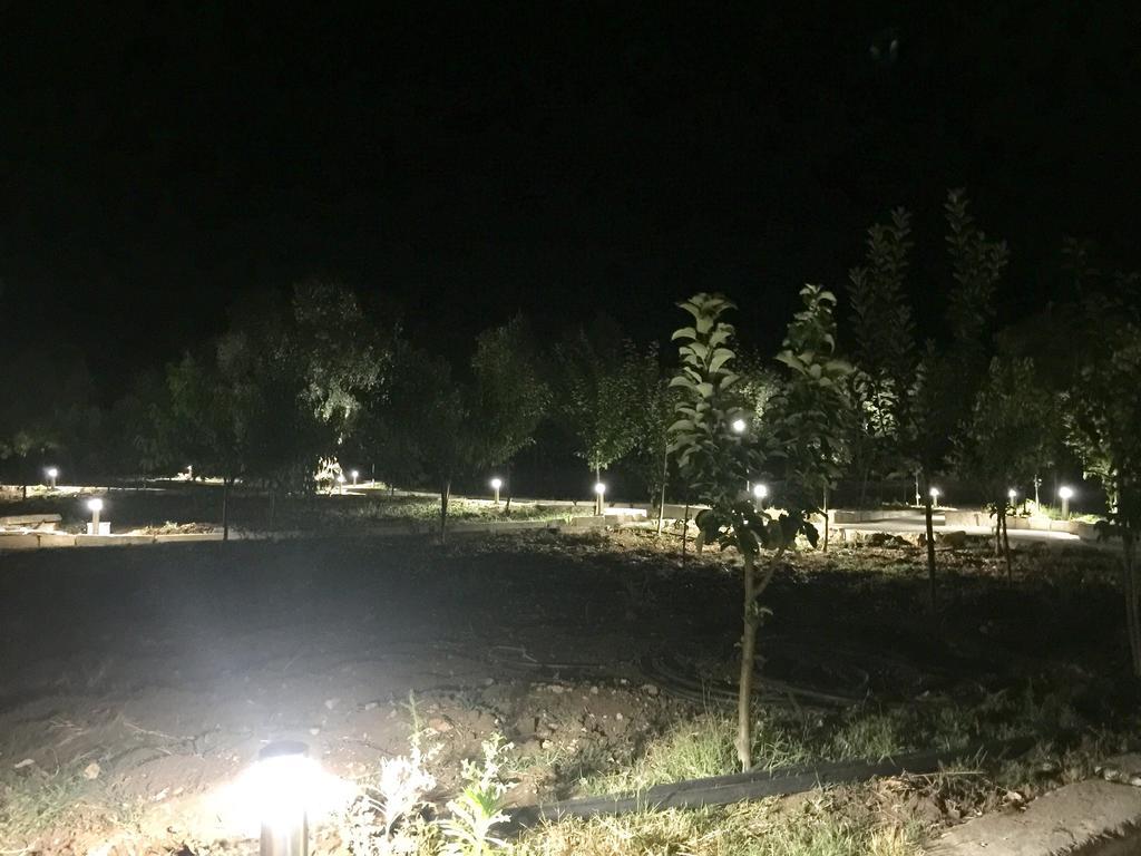 הוילה Toritto Agriturismo Armienti מראה חיצוני תמונה