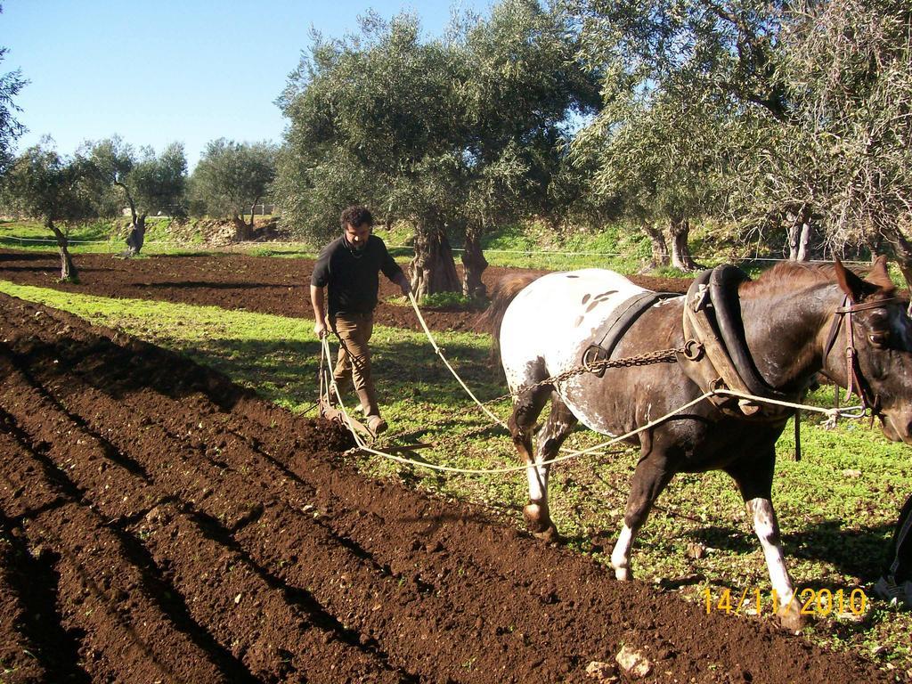 הוילה Toritto Agriturismo Armienti מראה חיצוני תמונה